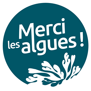 L'histoire des algues – ©Merci Les Algues !